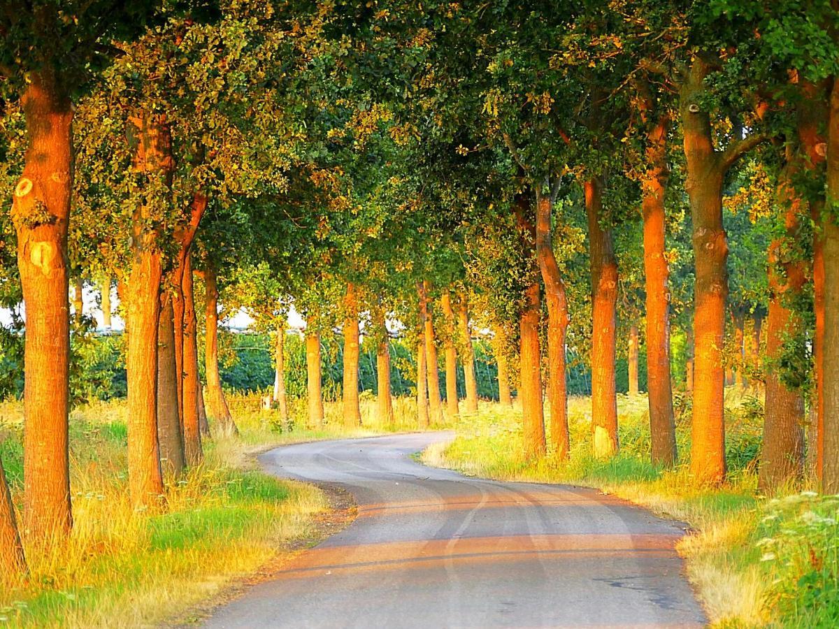 Rossum  Boerderij Zonneveld 빌라 외부 사진